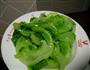 素炒生菜的做法图解3