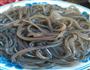红薯条肉末的做法图解1