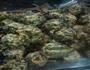 红萝卜菠菜丸子的做法图解8
