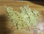 姜蓉蒜蓉焖南瓜的做法图解3