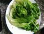 酱油生菜的做法图解4