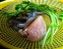 香菇虾仁鸡胸脯肉混沌的做法图解1