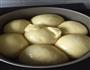 一次发酵巨蛋面包的做法图解4