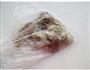 鲜爽到爆的凉拌八爪鱼的做法图解1