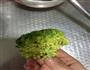西兰花鸡肉粥的做法步骤3