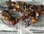 芋泥饼的做法图解1