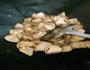 草菇炒肉的做法图解5