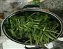 凉拌菠菜的做法图解1