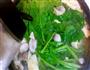 菠菜蘑菇鸭血汤的做法图解14