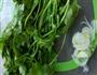 饺子的做法图解5