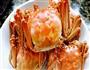 清蒸大闸蟹的做法图解4