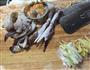 电饭煲版简易生滚螃蟹粥的做法图解2