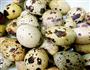 糖醋鹌鹑蛋的做法图解1