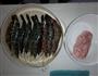 鲜虾饺子的做法图解2