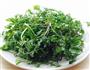 忆苦思甜 蒸野菜的做法图解1