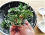 忆苦思甜 蒸野菜的做法图解5