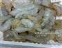 蒜蓉粉丝蒸大海虾仁的做法图解6