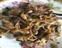 干炸蘑菇的做法图解4