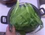 蒜蓉油麦菜的做法图解1