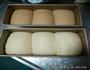 超软拉丝儿的酸奶土司的做法图解4