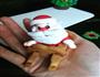 圣诞节翻糖立体饼干的做法图解19