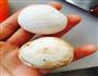 宝宝辅食-蔬菜小饼的做法图解5