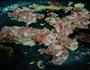 肉末豆腐的做法图解2
