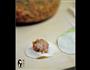 饺子的做法图解17