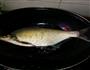 红烧扁鱼的做法图解2