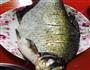 红烧鳊鱼的做法图解1
