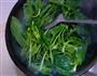 麻油菠菜的做法图解3