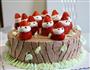 圣诞蛋糕的做法图解16
