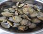干锅黄蚬子的做法图解3