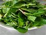 油泼菠菜的做法图解1