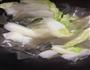 红薯粉炒白菜的做法图解3