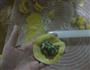 金牌煎饺的做法图解11
