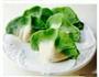 翡翠韭菜饺子的做法图解8