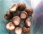 香菇虾仁芝士肉塔的做法图解1
