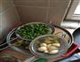 餐桌上的一抹春色小黄瓜花炒豌豆的做法图解1