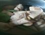 麻汁炖菜的做法图解10