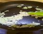 宝宝辅食的做法图解3