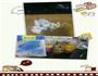 红烧肉炖土豆的做法图解2