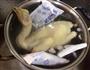 手撕鸡的做法图解2