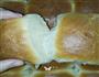 超软椰浆红豆面包的做法图解13