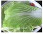 白菜卷的做法图解4