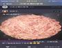 肉沫粉条的做法图解9