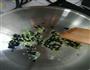 豆豉肉沫豆腐的做法图解2