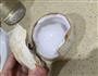 椰子冻的做法图解3