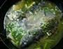 鲫鱼炖豆腐的做法图解6
