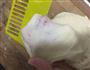 升级版淡奶油椰蓉面包的做法图解2